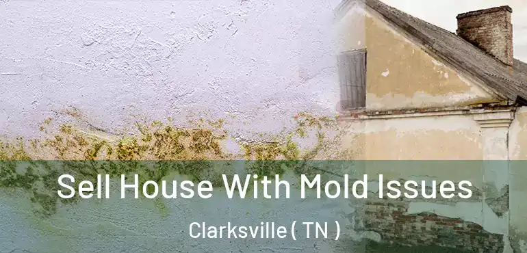 Sell House With Mold Issues Clarksville ( TN )